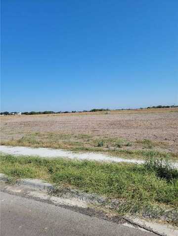 3521 Sahar Lake Drive, Robstown, TX 78380