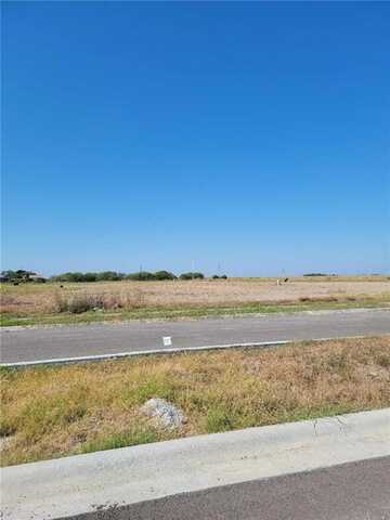 3605 Sahar Lake Dr, Robstown, TX 78380