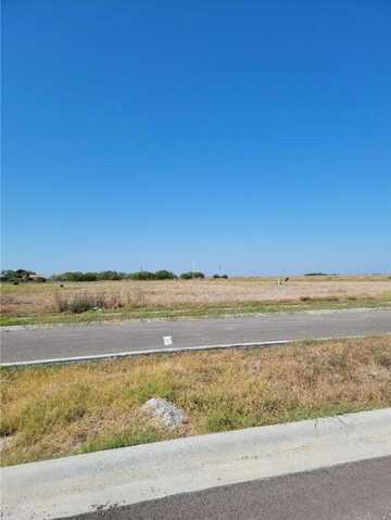 3605 Sahar Lake Drive, Robstown, TX 78380