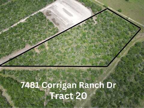 7480 Corrigan Ranch Drive- Tract 20 & 19, Skidmore, TX 78389