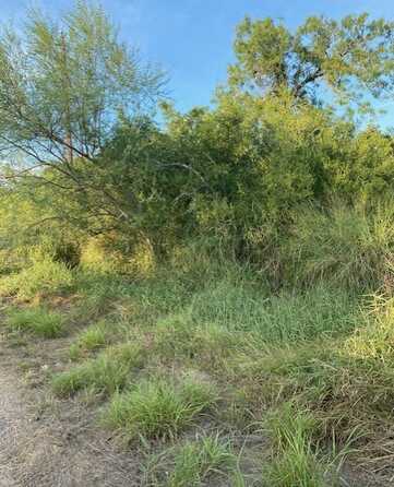 0 Lot 74 CR 122, Alice, TX 78332