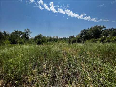 Tbd 30 Acres FM 1486, Richards, TX 77873