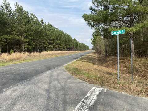 Lot 8 - Collum Pond Road, Wagener, SC 29164