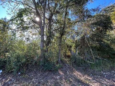 5.296+-ac, Lot 1, Willie Varnum Rd, Cottonwood, AL 36320