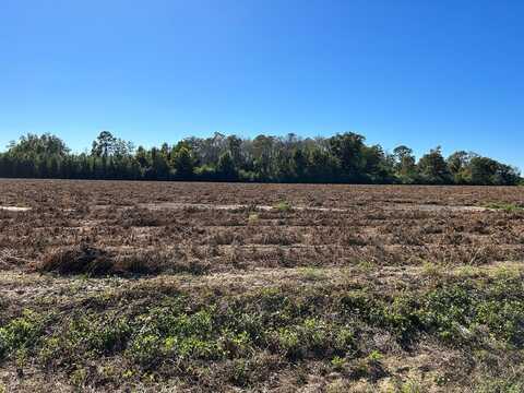 7.198+-ac, Lot 6, Willie Varnum Rd, Cottonwood, AL 36320