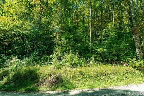 Lot 16 Cullowhee Forest Road, Cullowhee, NC 28723