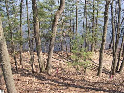 1597 EDGEWATER RIDGE, TRAVERSE CITY, MI 49684
