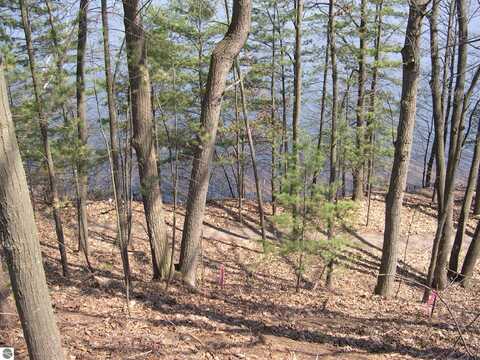 1597 EDGEWATER RIDGE, TRAVERSE CITY, MI 49684