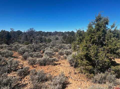 268 Road 4018, Middle Mesa, NM 81137
