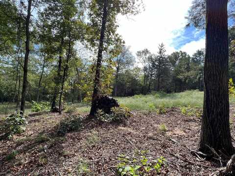 13610 CR 420 (Lot 6), Tyler, TX 75704