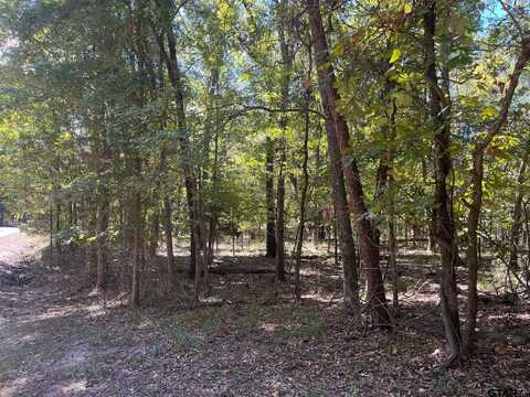 Lot 2 Trappers Trail, Mount Vernon, TX 75457