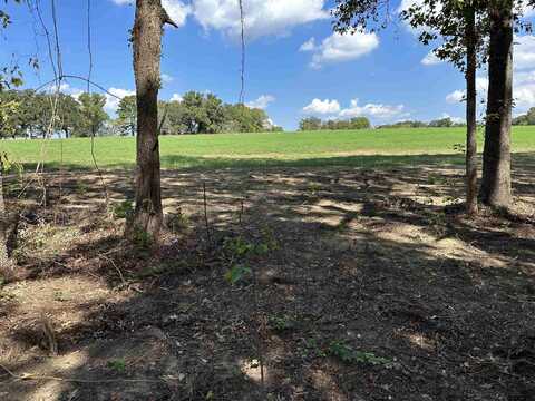 TBD LOT 10 COUNTY ROAD 409 D, Henderson, TX 75654