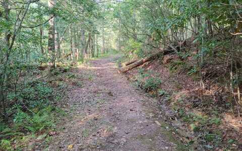 Kaleb Trail, Mineral Bluff, GA 30559
