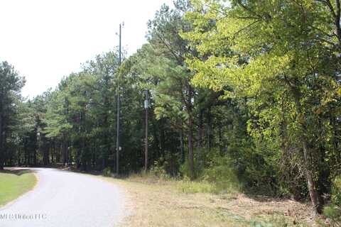 351 Waites Road, Holly Springs, MS 38635