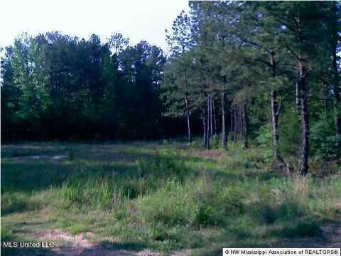 Enid View Drive, Pope, MS 38658