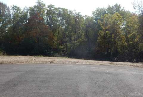 0 Todds Fork Reserve Lot 37, Wilmington, OH 45177