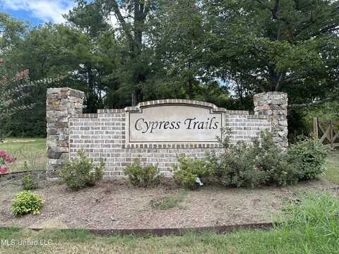 3162 S Cypress Lakes S Drive, Olive Branch, MS 38654