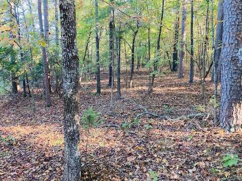 000 Knob Creek Road, Melbourne, AR 72556