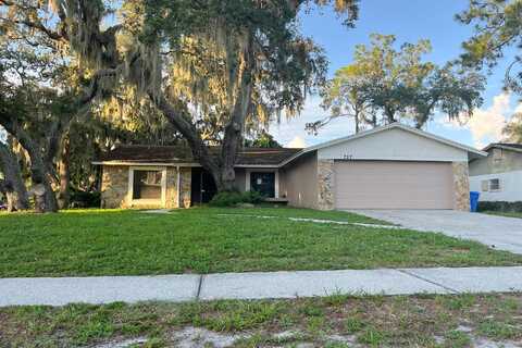 Isleton, BRANDON, FL 33511