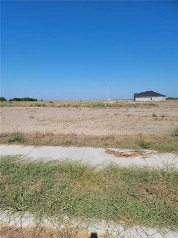 15202 Lake Athens Ave, Robstown, TX 78380