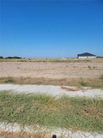 15202 Lake Athens Avenue, Robstown, TX 78380