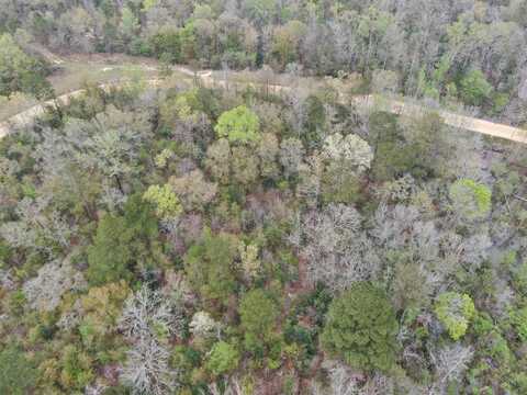 Lot #1 Tanglewood Drive, Georgetown, GA 39854