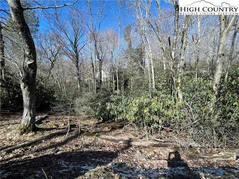 252 Greenbriar Road, Beech Mountain, NC 28604