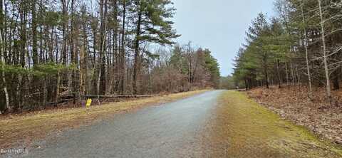 Hawthorne Hill Rd, New Lebanon, NY 12125