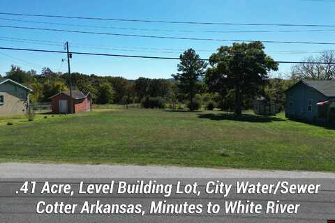 240 WALNUT HILL LANE, Cotter, AR 72626