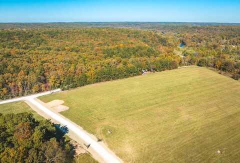 TBD Boiling Springs Road-Tract 28, Licking, MO 65542