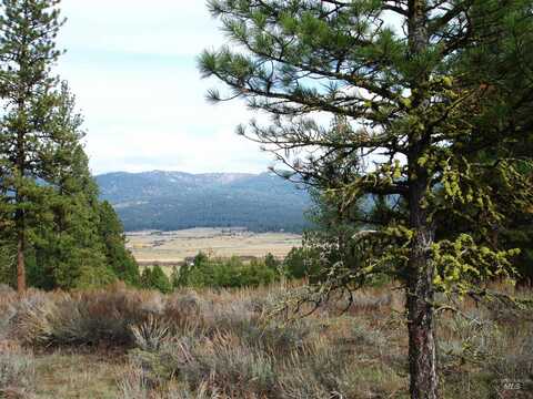 Lot 18 Baneberry Drive, New Meadows, ID 83654