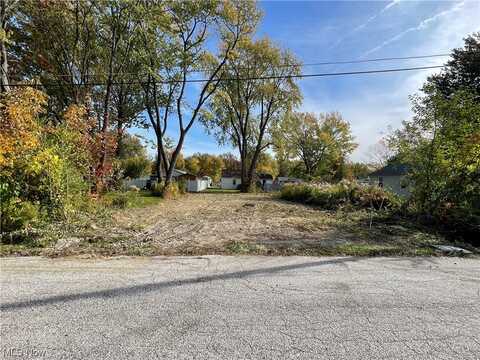 Robinhood Avenue, Painesville, OH 44077