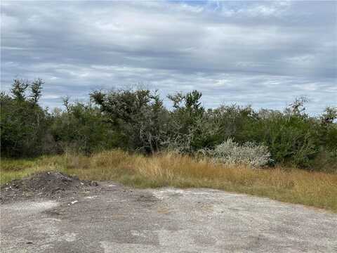 00 Hidden Circle, Sandia, TX 78383