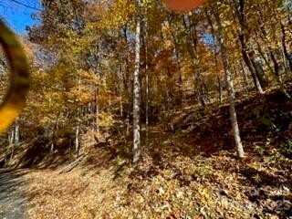 19 Lochmoor Lane, Waynesville, NC 28785