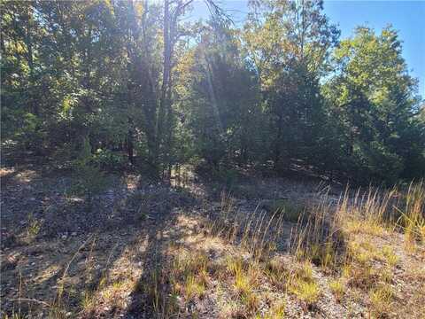 803 Diamond Cove LN, Horseshoe Bend, AR 72512