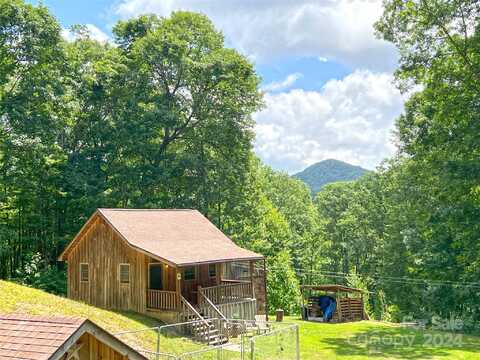 10120 Meadow Fork Road, Hot Springs, NC 28743