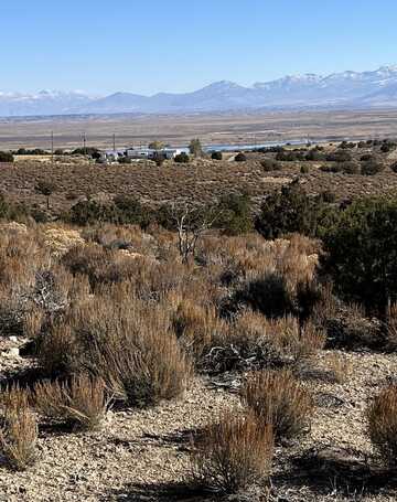 Lee Avenue, Spring Creek, NV 89815