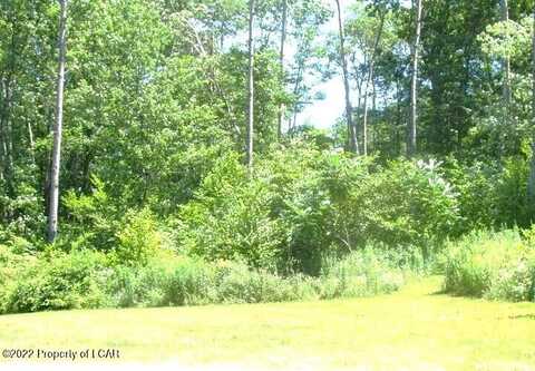 Lot 013 Rhedwood Avenue, Sugarloaf, PA 18249