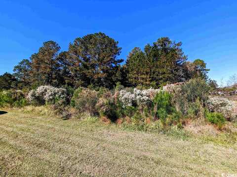 3028 New Castle Loop, Myrtle Beach, SC 29588