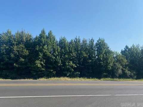 29.4 acres on Highway 29/Bill Clinton Drive, Hope, AR 71801