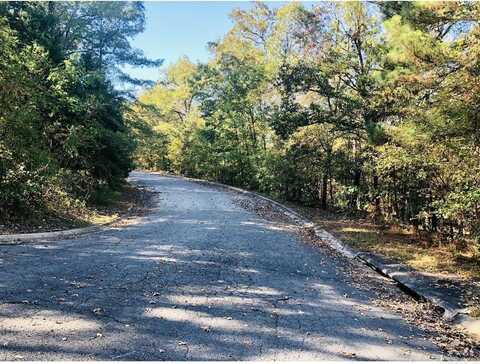 Lot 10 Norfork Drive, Maumelle, AR 72113