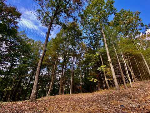 Lot #12 Sky Ridge Retreats, Denniston, KY 40316