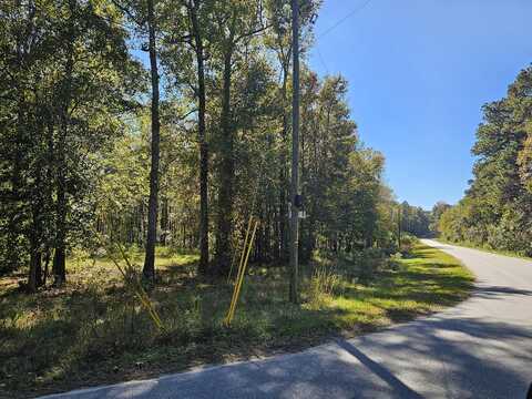 0 Stoudenmire Drive, Cameron, SC 29030