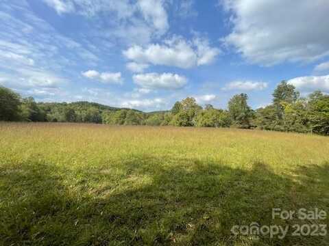 334 Fire Tower Road, Mill Spring, NC 28756