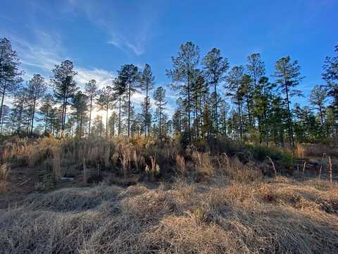 0 STORY MILL Road, Keysville, GA 30816