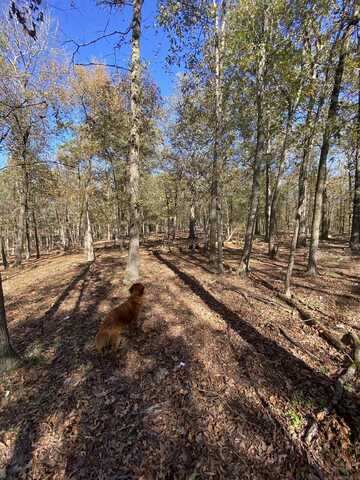 Lot 3 Grizzly Road, Royal, AR 71968