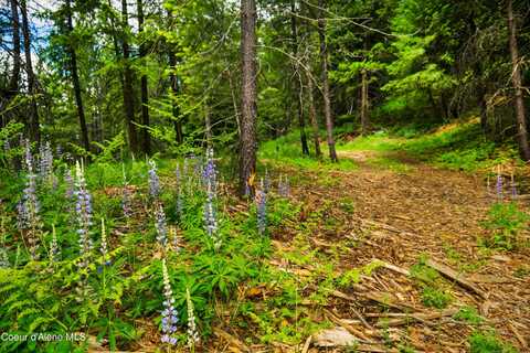 Tbd Kreiger Creek Rd., Careywood, ID 83809