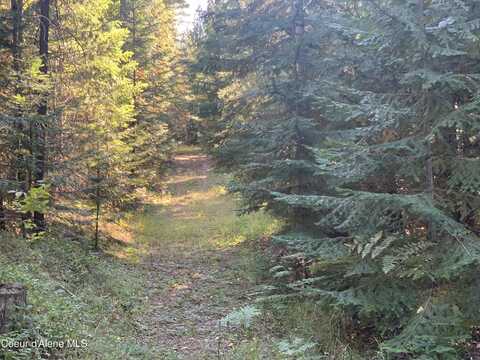 TBD Kreiger Creek South Parcel Rd., Careywood, ID 83809