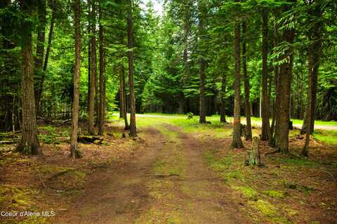 Tbd Kreiger Creek South Parcel Rd., Careywood, ID 83809