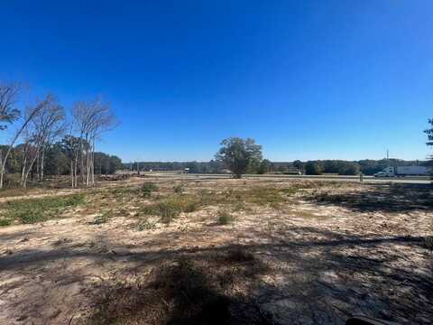 3 +/- Ac Hwy 431, Eufaula, AL 36027